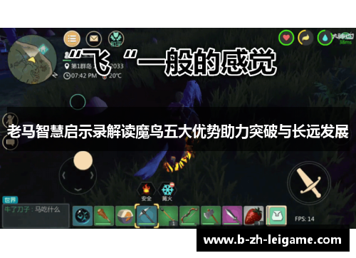 老马智慧启示录解读魔鸟五大优势助力突破与长远发展 老马智慧启示录解读魔鸟五大优势助力突破与长远发展