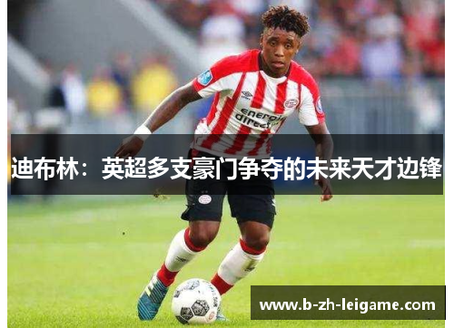 迪布林:英超多支豪门争夺的未来天才边锋 迪布林:英超多支豪门争夺的未来天才边锋
